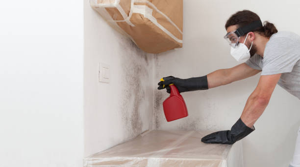 Professional Crawl Space Mold Removal technician working in Belvidere, IL